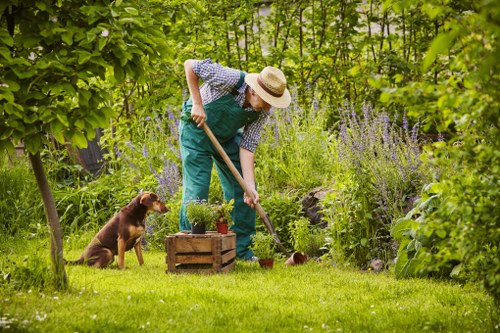 Tree surgeons team promoting ethical labour practices