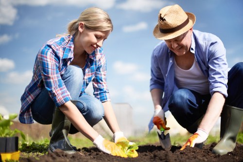 Local tree reduction service near homes and commercial properties in Shepherdsbush