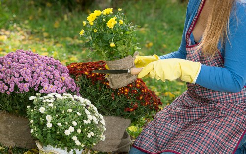 Final terms and conditions section for UK tree surgery services