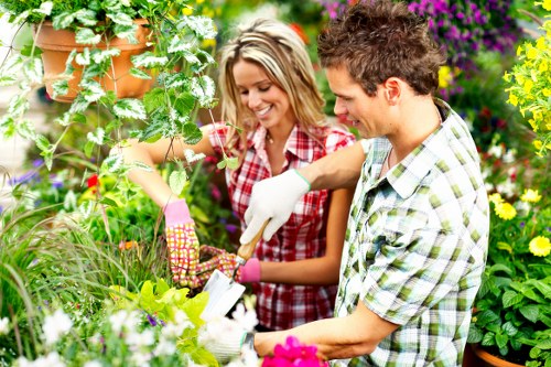 Crown lifting service for residential and commercial tree care in Shepherdsbush