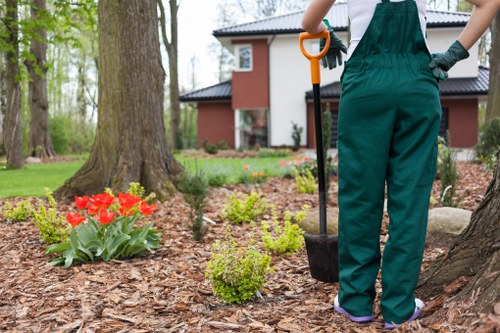 Urgent tree surgery near residential properties in Shepherdsbush
