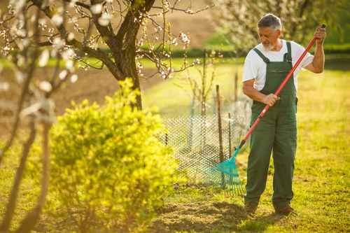 Professional tree surgeon team handling a complaint process